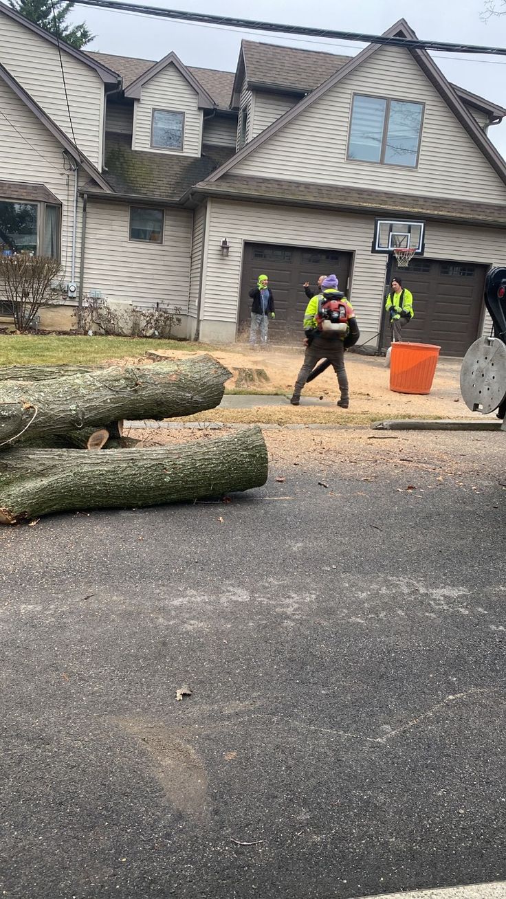 Craig's Tree Service crew — certified arborists serving Missouri