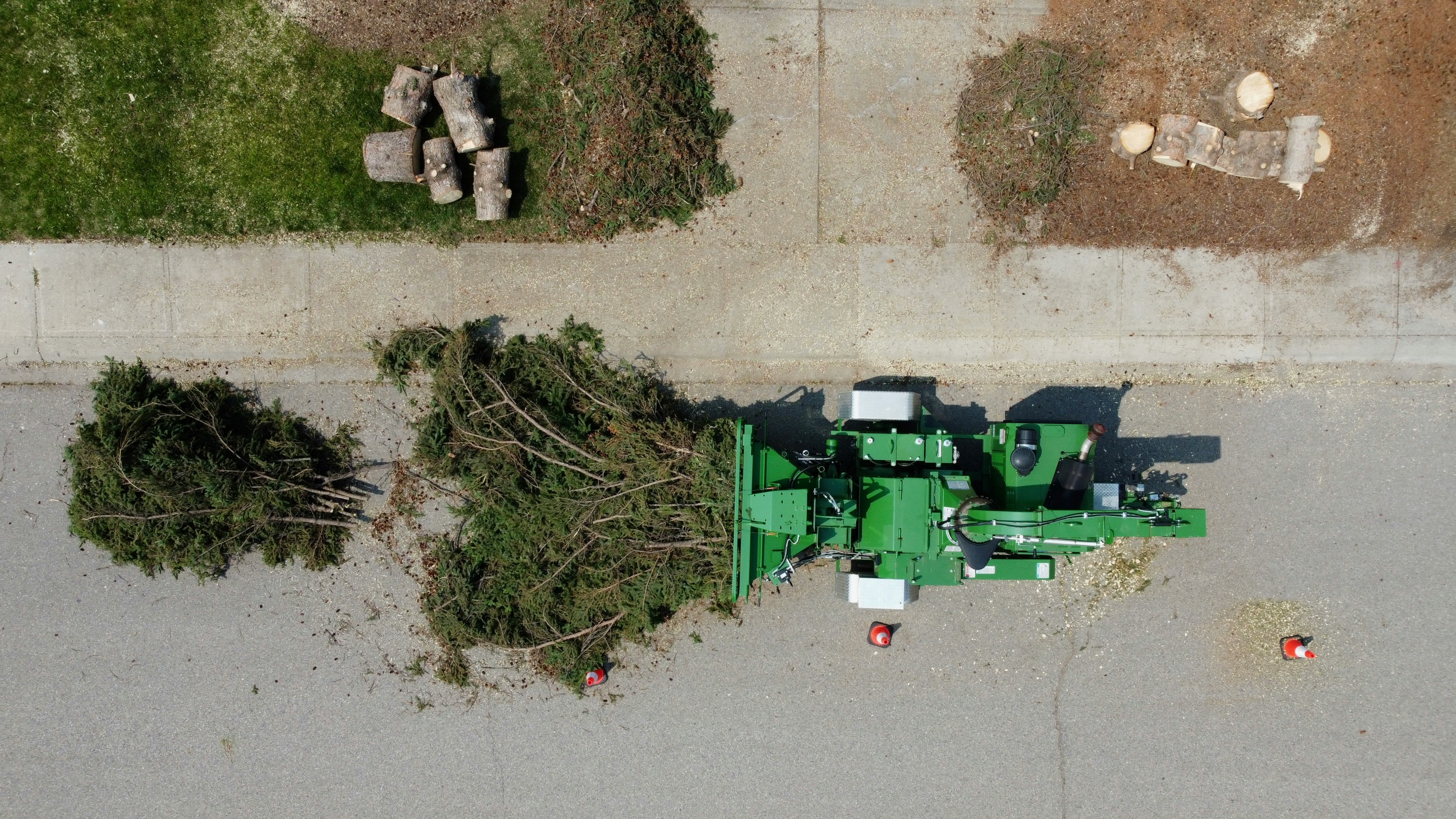 Professional tree removal in Franklin County